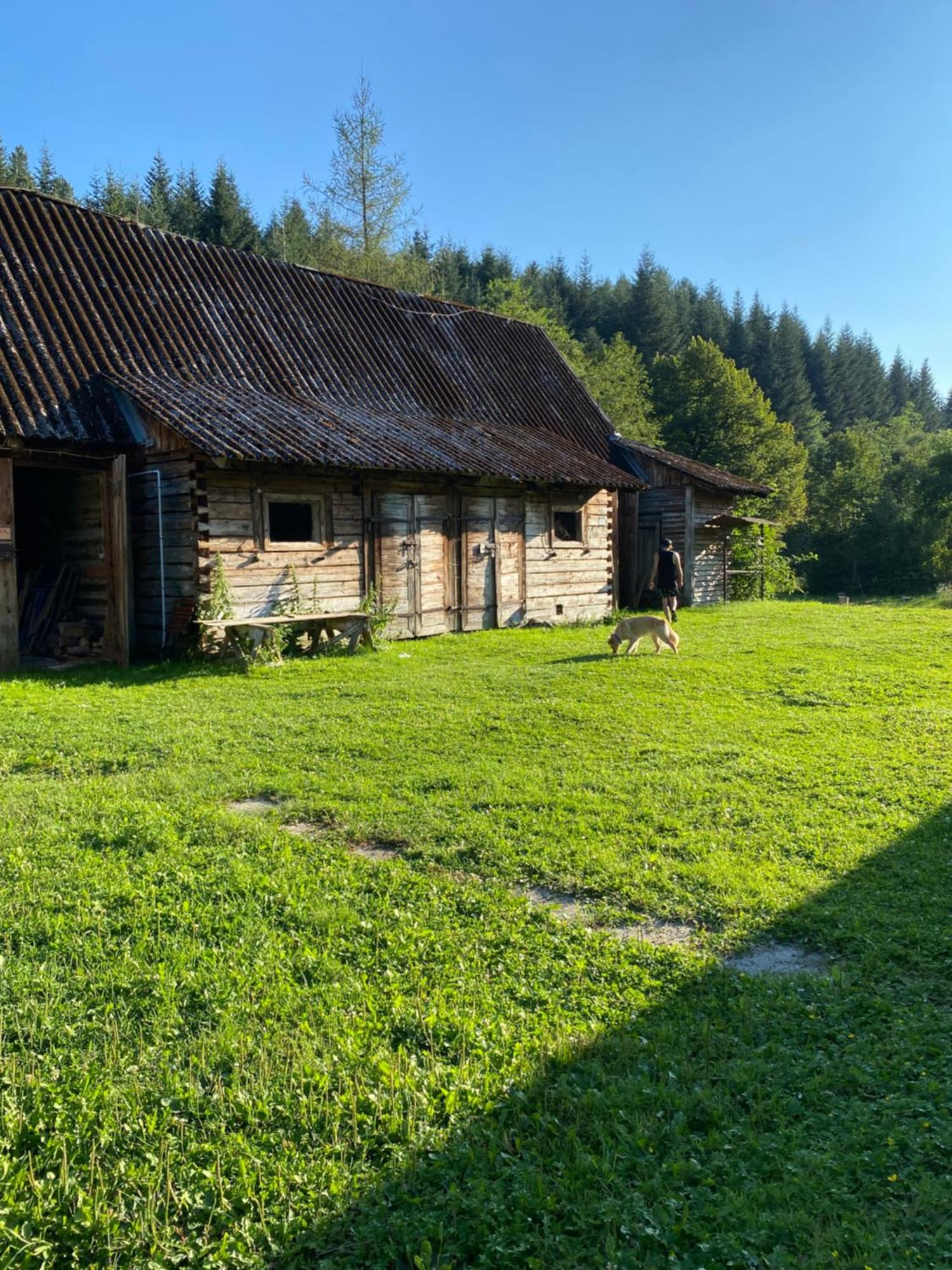 Nad Mikowym Potokiem - Wydzielona Czesc Drewnianego Domu Z Osobnym Wejsciem I Ogrodem *